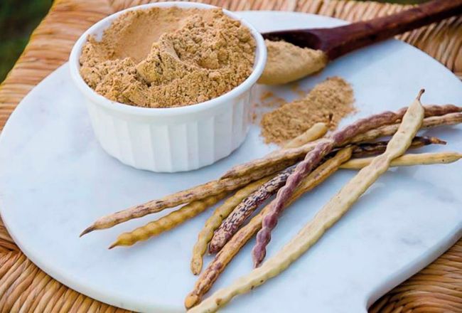 Mesquite pods and mesquite powder in a white ramekin on a marble board with a wooden spoon.